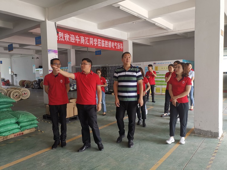 勝維股份 勝維股份