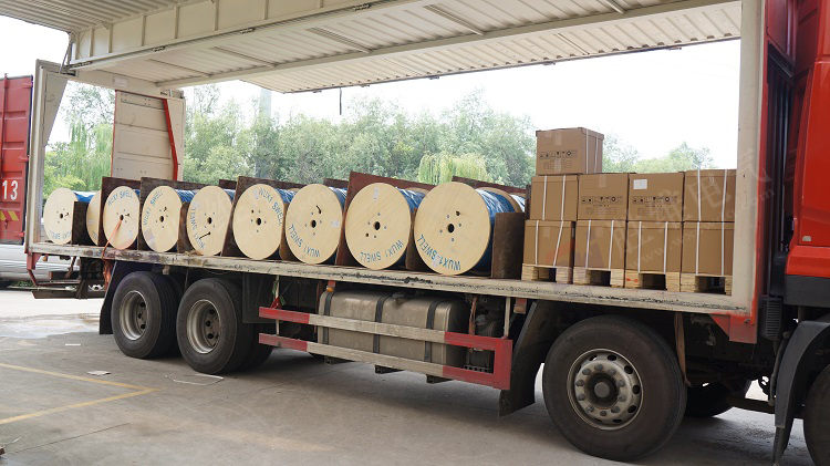 勝維股份 勝維股份