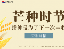 勝維股份 | 芒種，種下夢想 靜待光芒