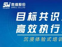 目標共識凝心力，高效執行創價值 | 沉浸體驗式培訓圓滿落
